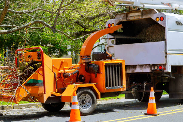 Mulching Services in View Park Windsor Hills, CA